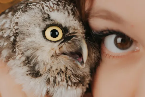 BoaBoa Casino Podrška